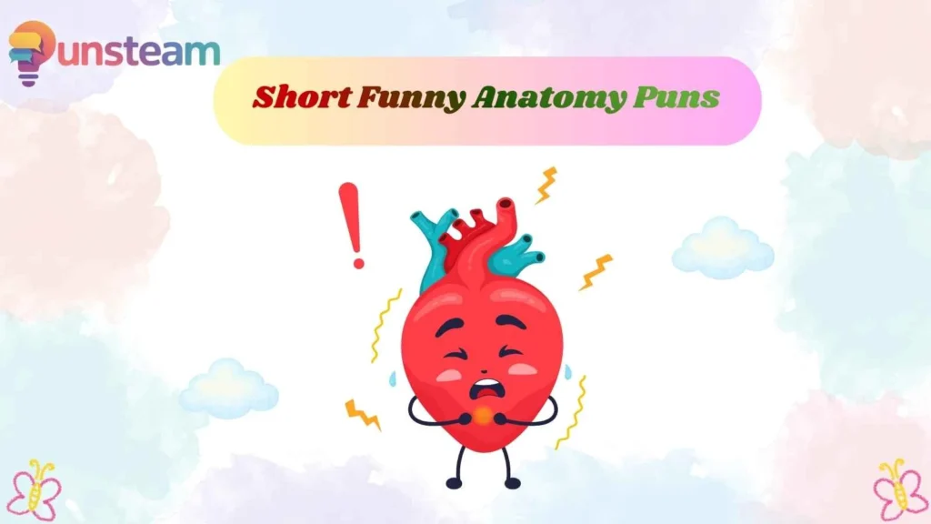 Short Funny Anatomy Puns