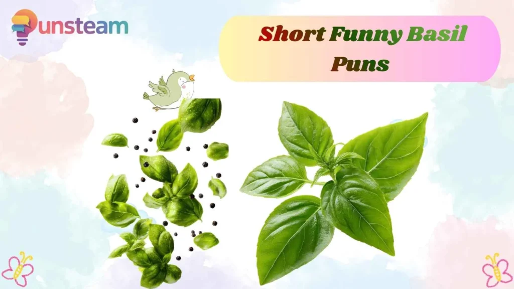 Short Funny Basil Puns