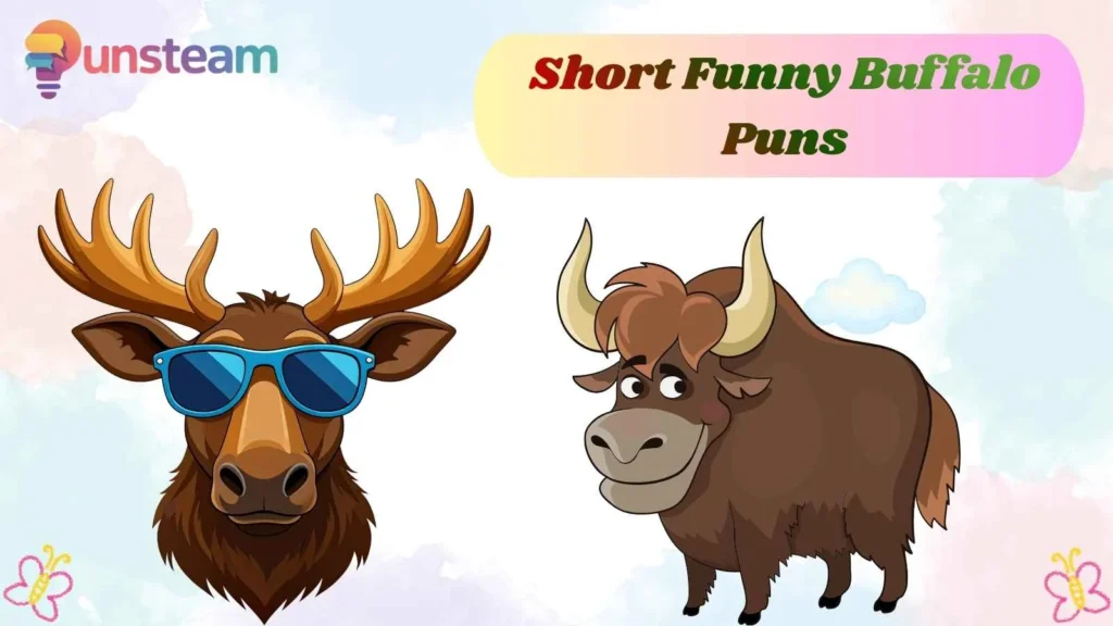 Short Funny Buffalo Puns