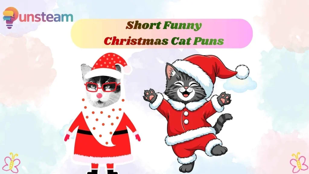 Short Funny Christmas Cat Puns