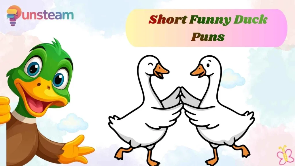 Short Funny Duck Puns