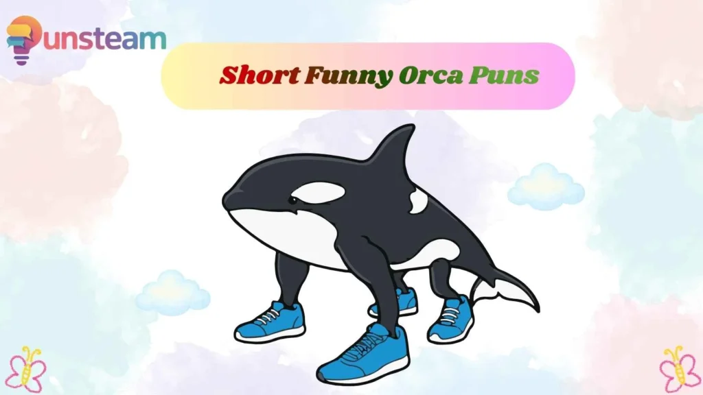 Short Funny Orca Puns