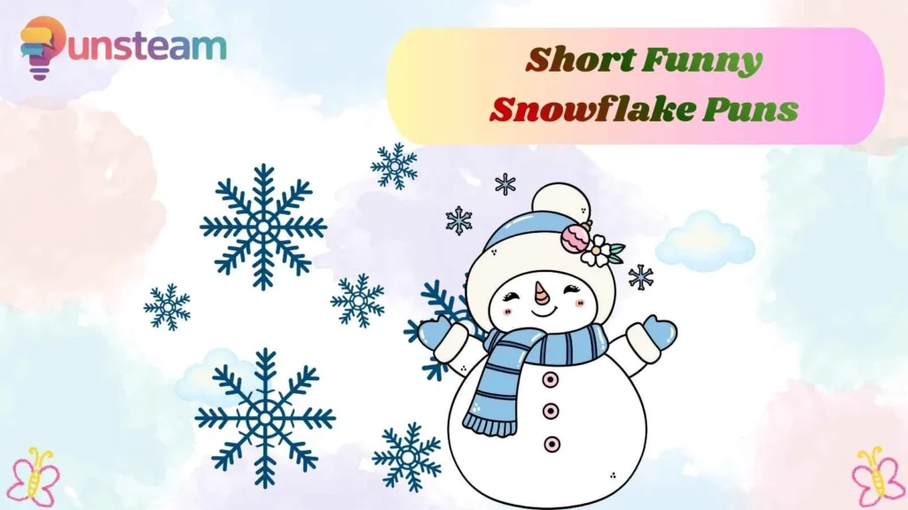 Short Funny Snowflake Puns