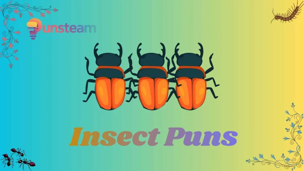 Insect puns