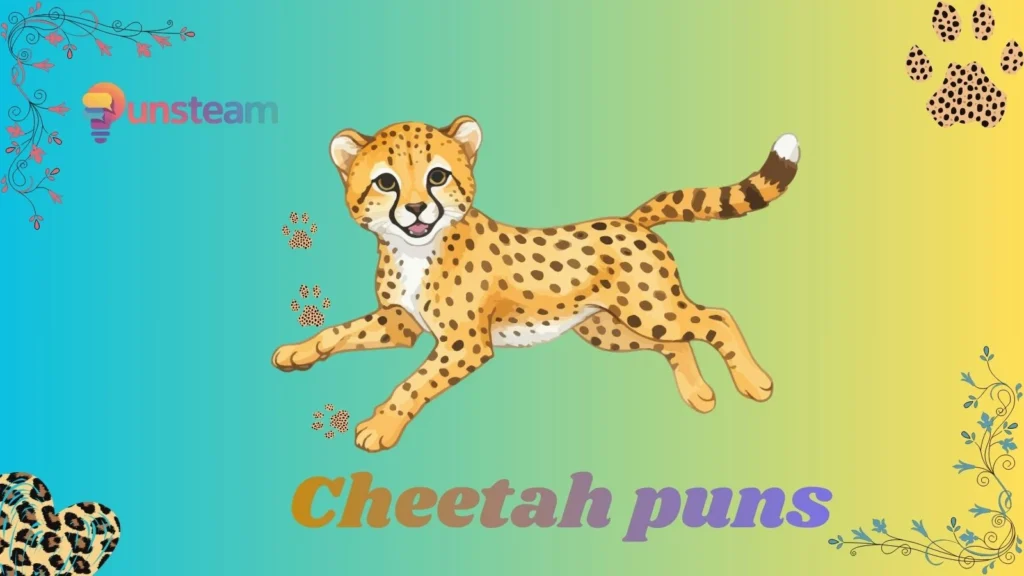 Cheetah puns
