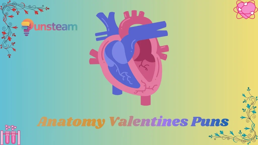 Anatomy valentines puns