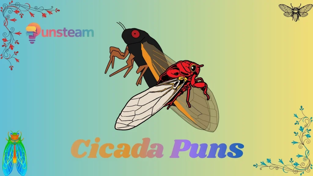 Cicada puns