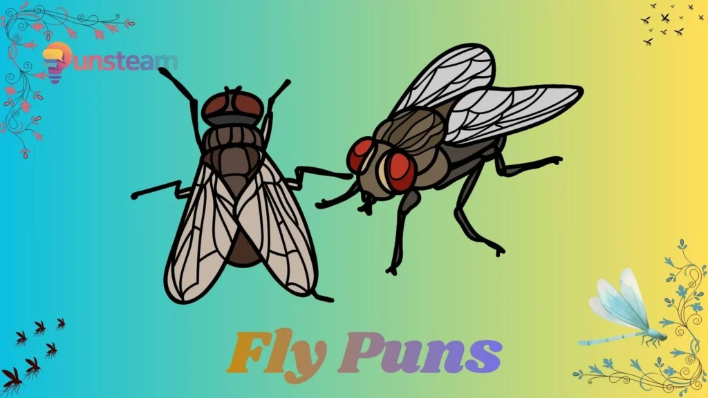 fly puns