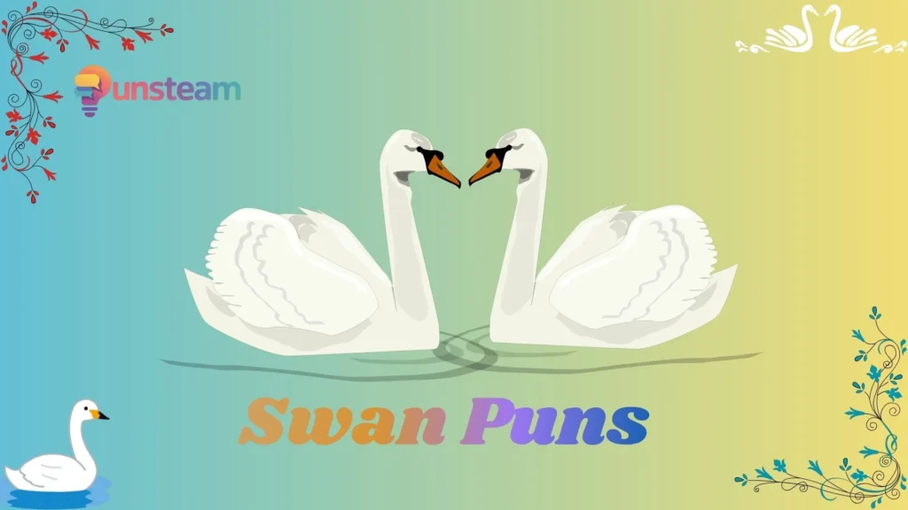 Swan puns