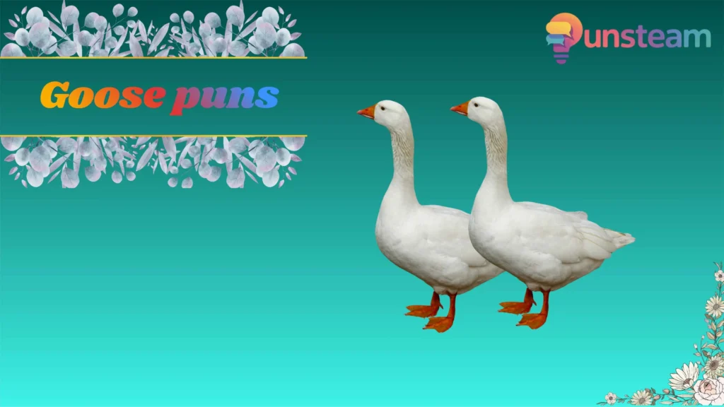 Goose puns
