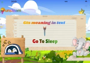 Gts meaning in text