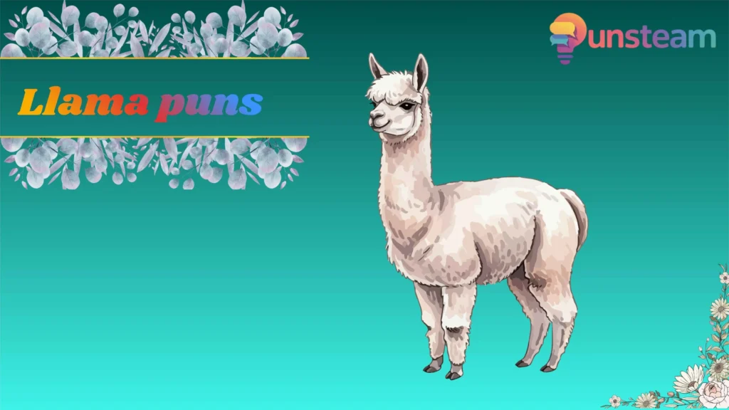 Llama puns