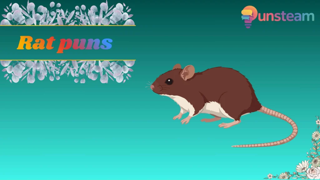 Rat puns