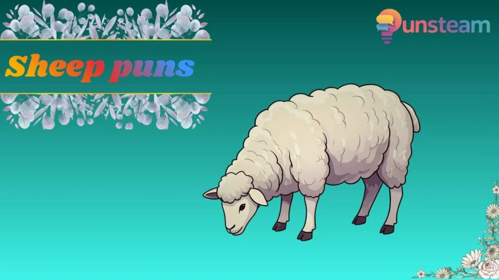 Sheep puns