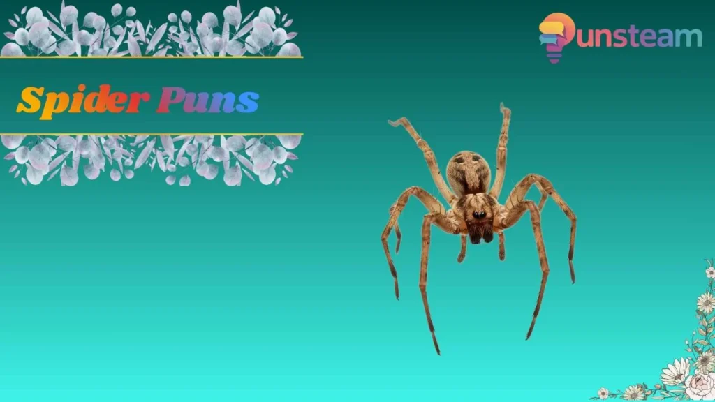 Spider Puns