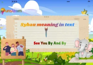 Sybau meaning in text
