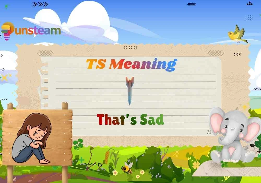 TS meaning