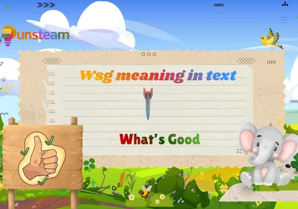 Wsg meaning in text
