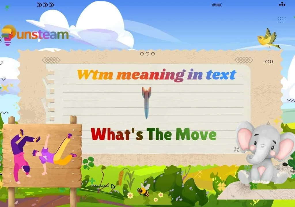 Wtm meaning in text