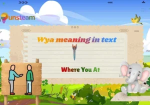 Wya meaning in text