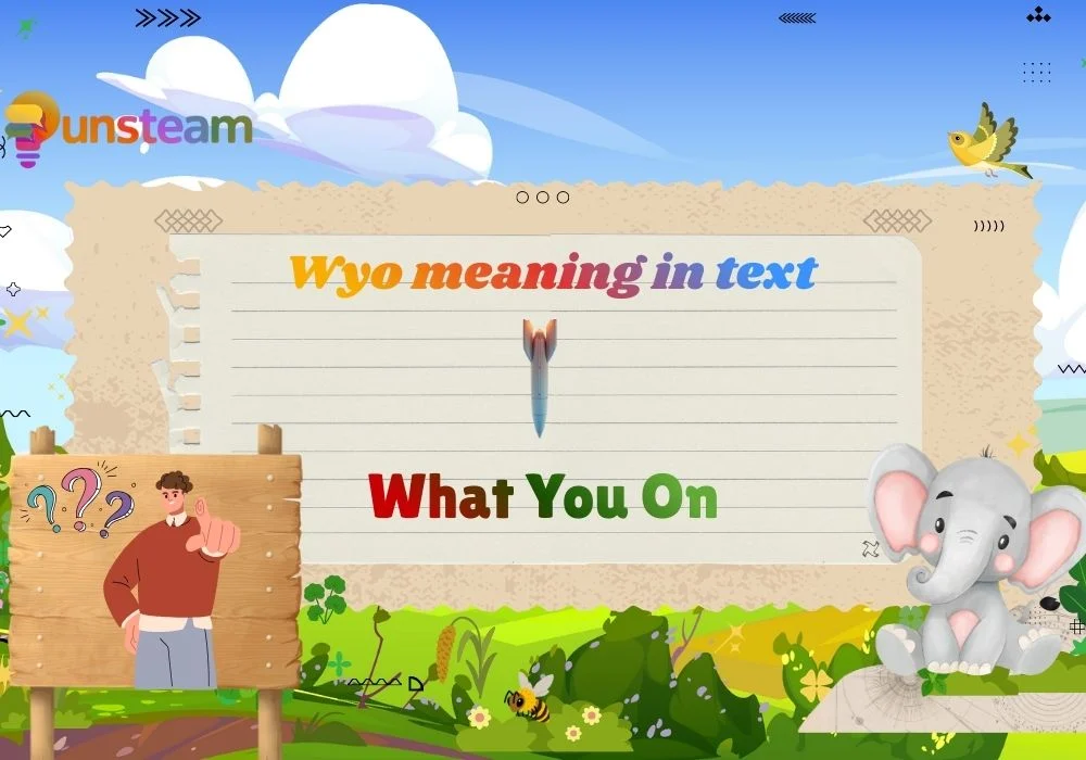 Wyo meaning in text