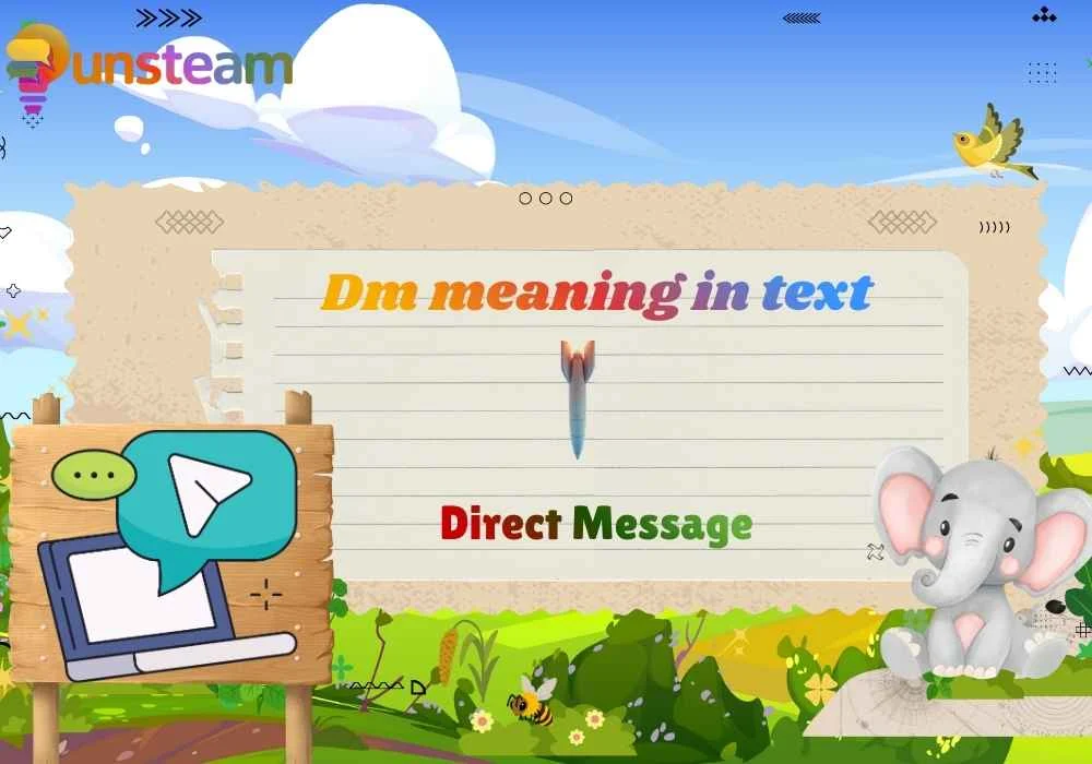 Dm meaning in text
