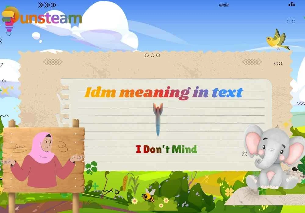 Idm meaning in text