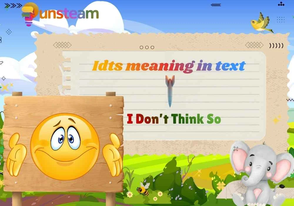 Idts meaning in text