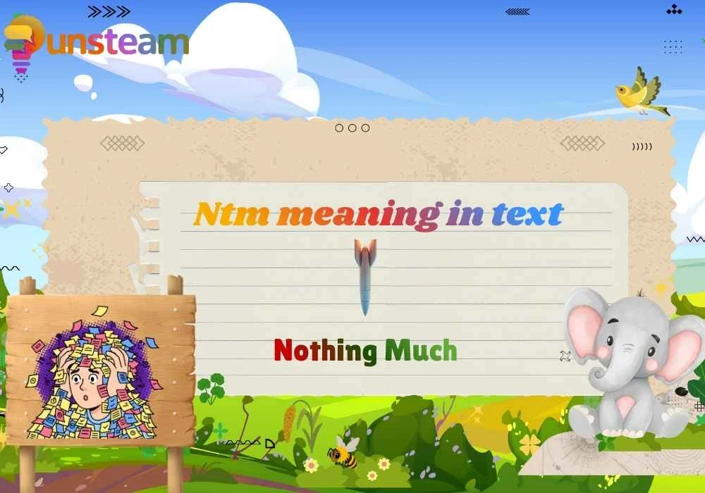 Ntm meaning in text