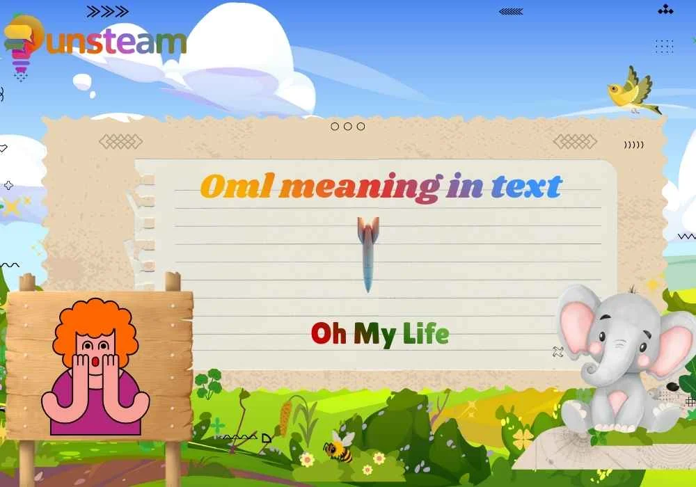 Oml meaning in text