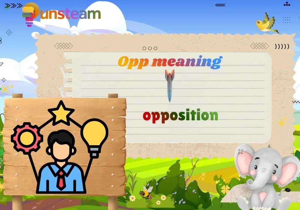 Opp meaning