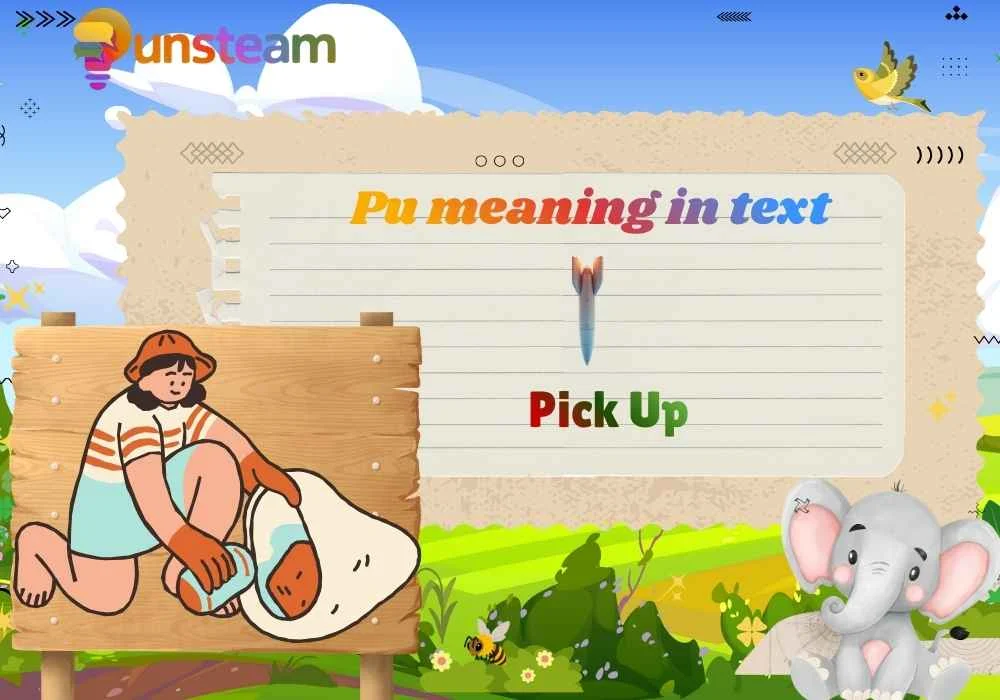 Pu meaning in text