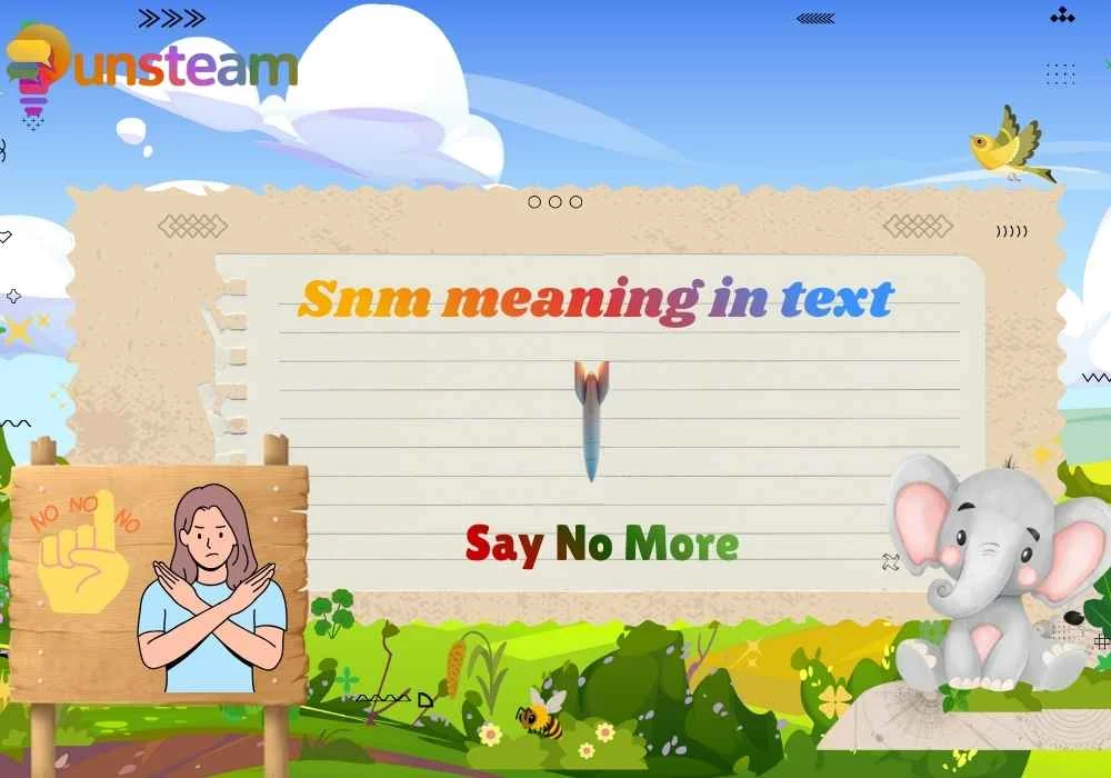 Snm meaning in text