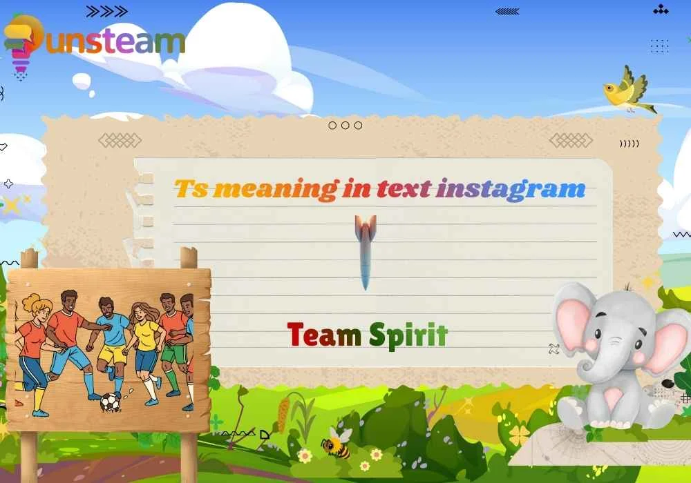 Ts meaning in text instagram