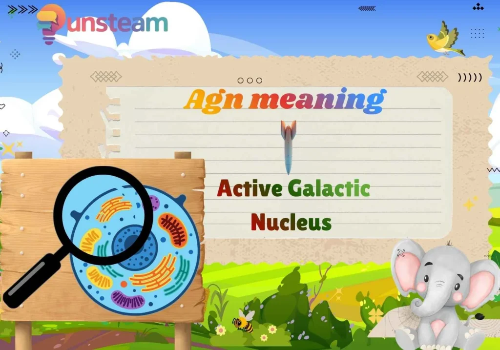 Agn meaning