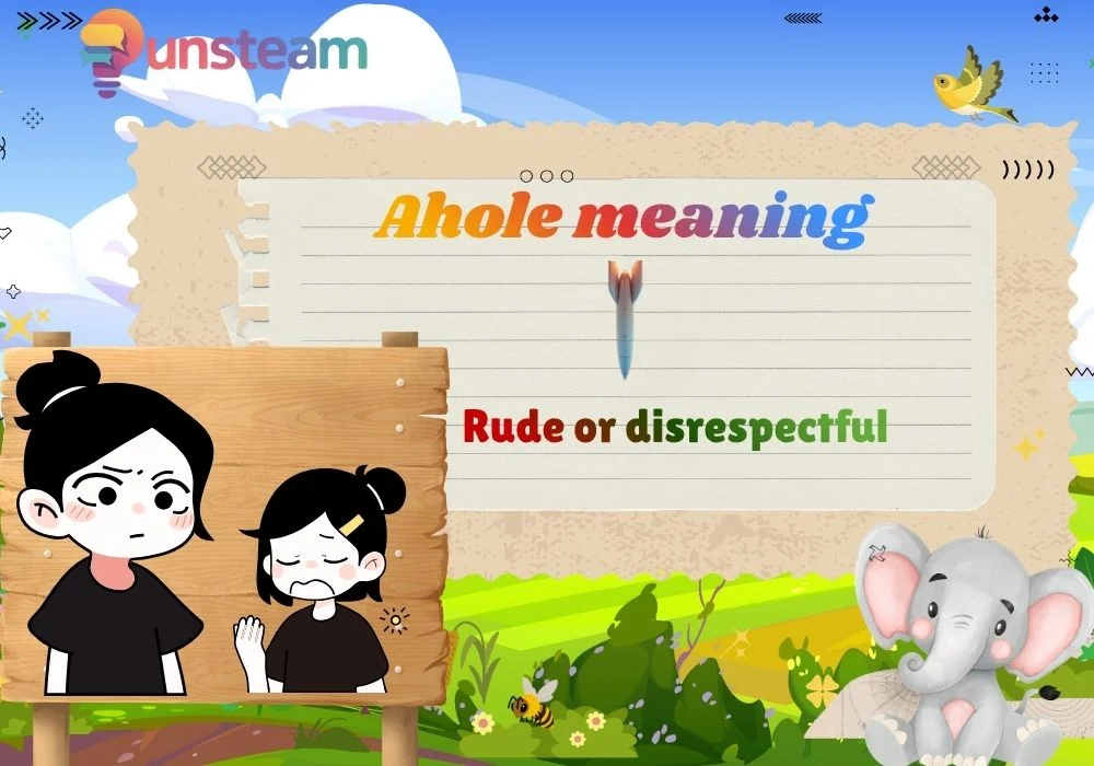 Ahole meaning