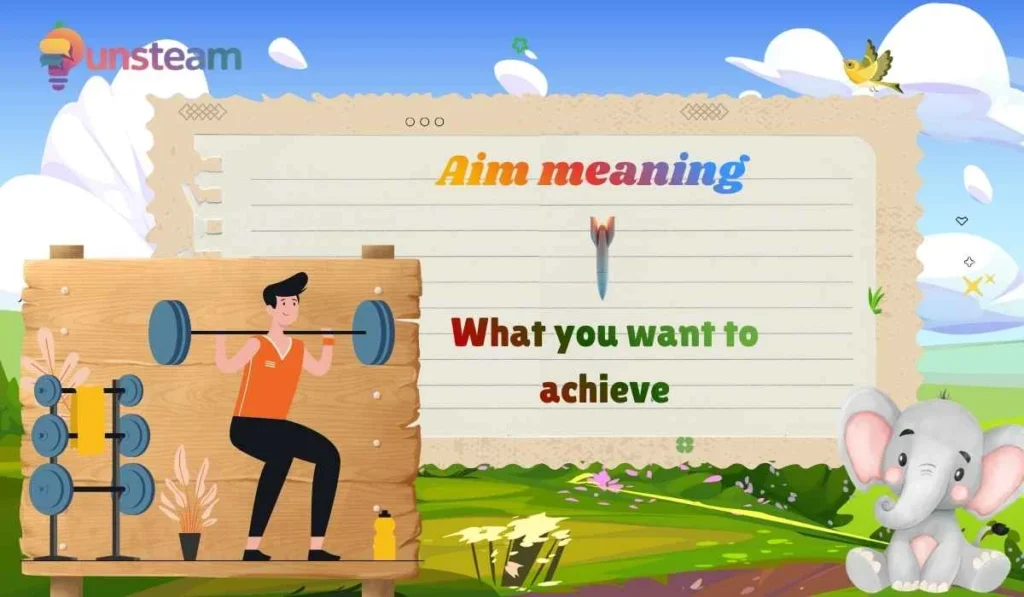 Aim meaning