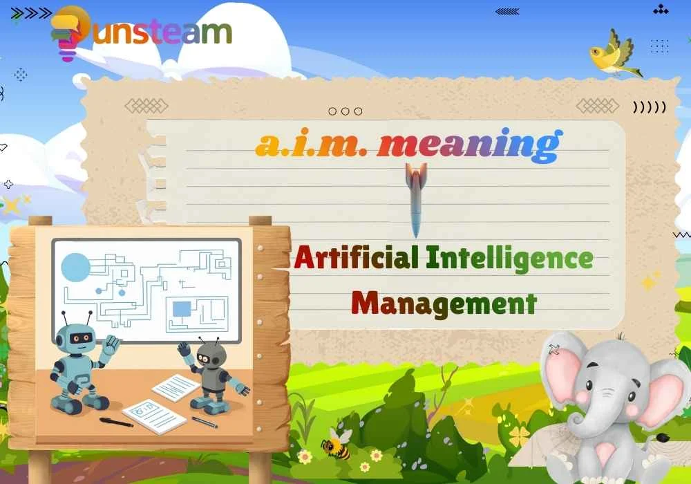 a.i.m. meaning