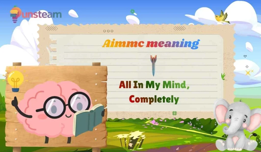 Aimmc meaning